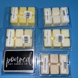 NWT Handmade in Iowa. Toxic free. Soy Wax Melts NWT.